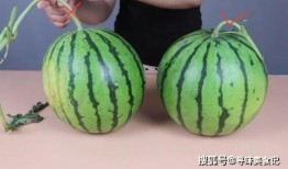 看瓜比吃瓜还甜,看瓜比吃瓜还甜的奇妙体验