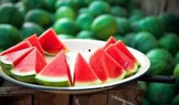 吃瓜落还是吃挂落,揭秘两种独特美食的诱惑与魅力