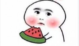 吃瓜群众了不起,揭秘网络舆论场的力量与影响