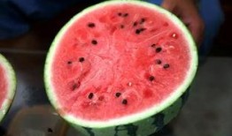 华亭市吃的瓜,探寻当地特色美食之旅