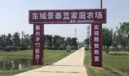 界首最新吃瓜事件,真相竟如此惊人！