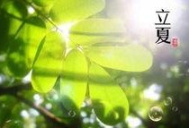 立夏吃瓜完整视频