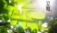 立夏吃瓜完整视频