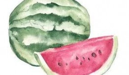 化妆笔吃瓜,揭秘化妆界的甜蜜与苦涩