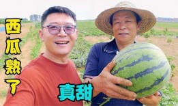 刘大瓜吃蚌,一场意外引发的美食奇遇