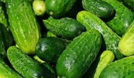 吃瓜c18,一场关于网络热词的趣味探讨