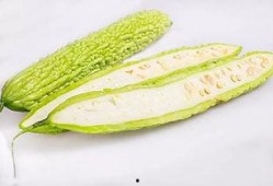 吃苏瓜季节,尽享时令美味