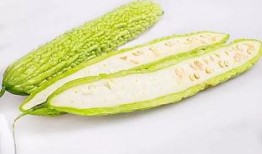 吃苏瓜季节,尽享时令美味