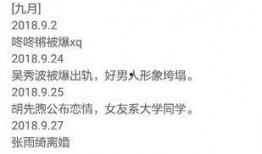 48吃瓜总结,揭秘娱乐圈背后的八卦风云