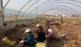 界首最新吃瓜事件,真相竟如此惊人！