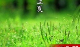 立夏吃瓜完整视频