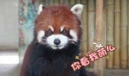 今天吃瓜干饭公司