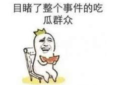 初言吃瓜事件,揭秘网络舆论背后的真相与反思